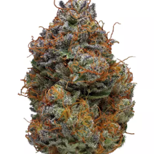 Buy-Blackberry-Kush-strain-online-in-Cuba
